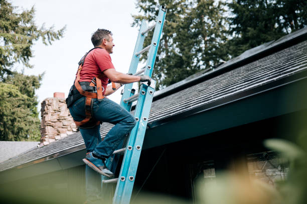 Professional Roofing service in Stonegate, CO